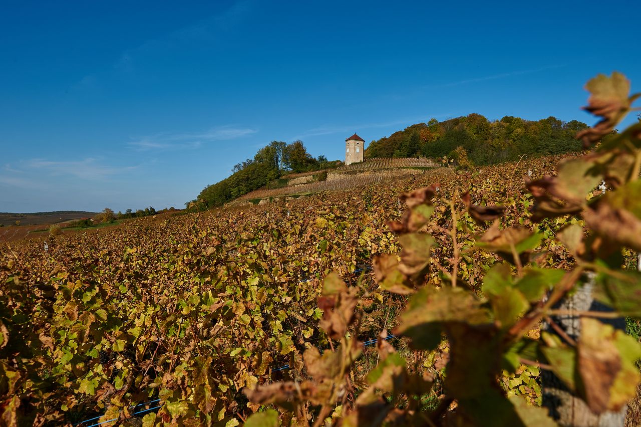 Communes Arbois Tour de Curon BI-0324